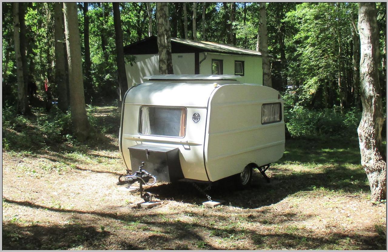 Ddr Wohnwagen Qek Direkt Am Strand Dranske Eksteriør billede